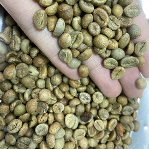 ROBUSTA COFFEE