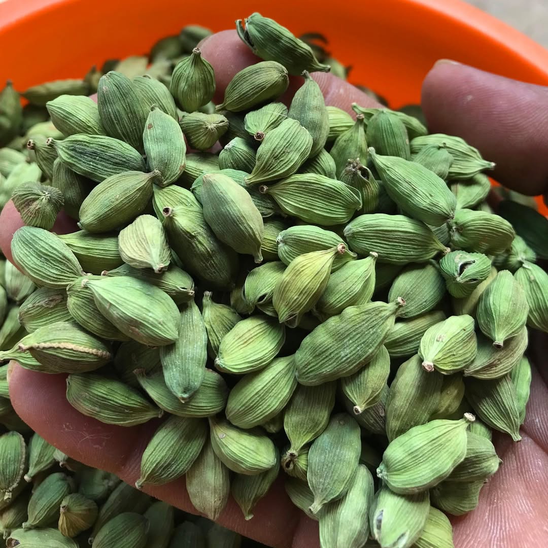 Green Cardamom