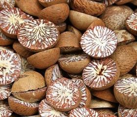 Betel Nuts